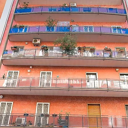 My Place 바리